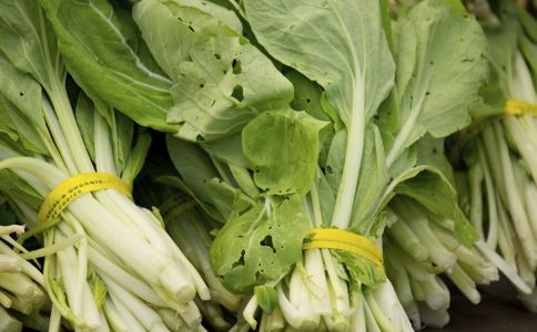 老人养生一二三四五 防病又长寿 老人养生方法有哪些 老人怎么养生 老人长寿方法